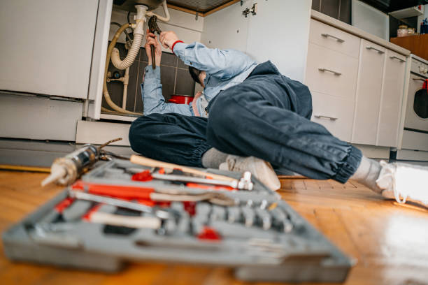 Best Local Plumber Services  in Kirkl, IN